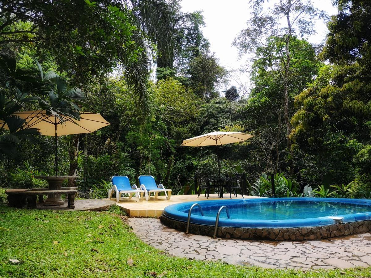 Casa Cedro - Portasol Vacation Rentals Matapalo  외부 사진